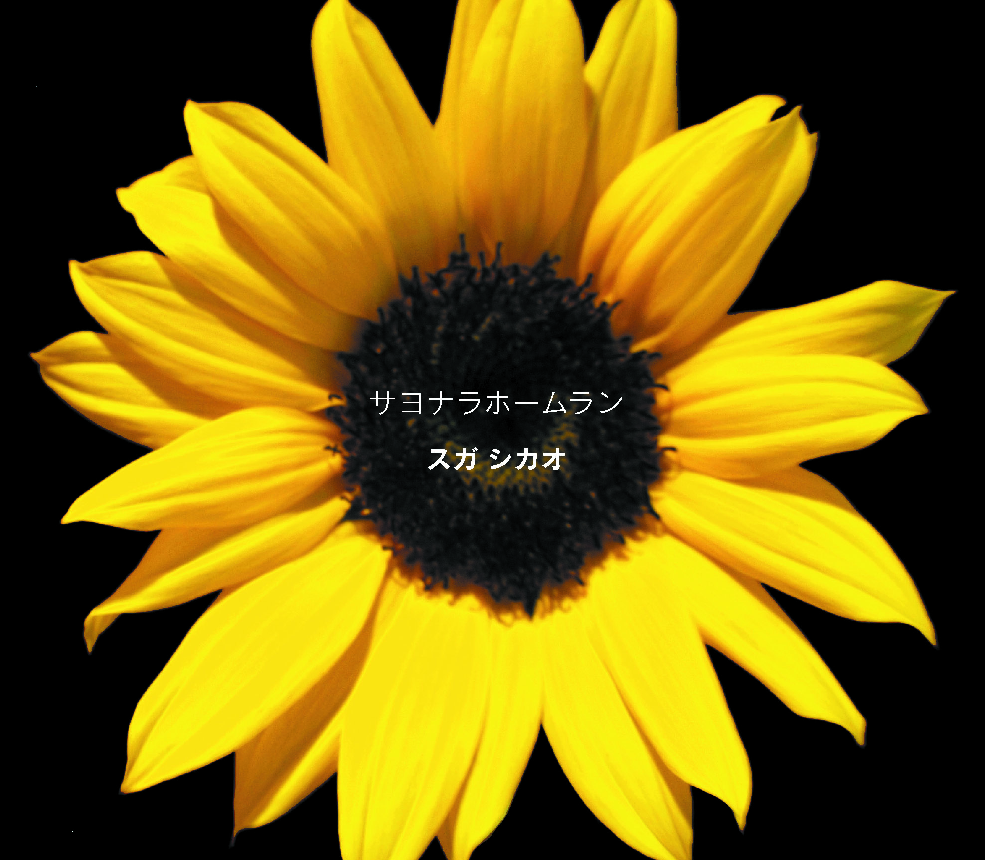 サヨナラホームラン