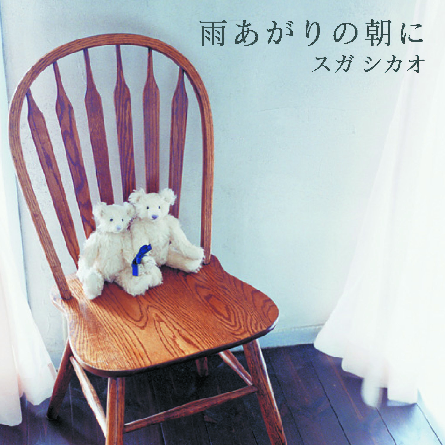 雨あがりの朝に